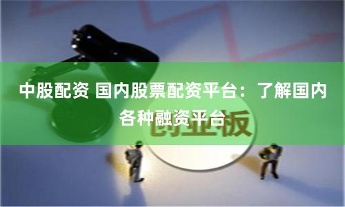 中股配资 国内股票配资平台：了解国内各种融资平台